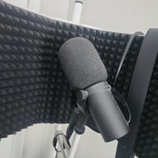Shure Microphone