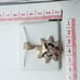 14K Gold Plated Cubic Zircon Pendant, INUS1BR227