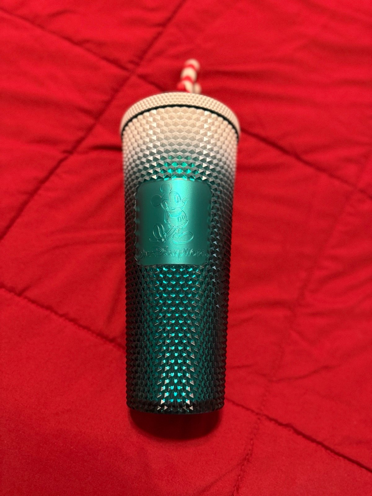 Starbucks Walt Disney World Tumbler with Candy Cane Topper