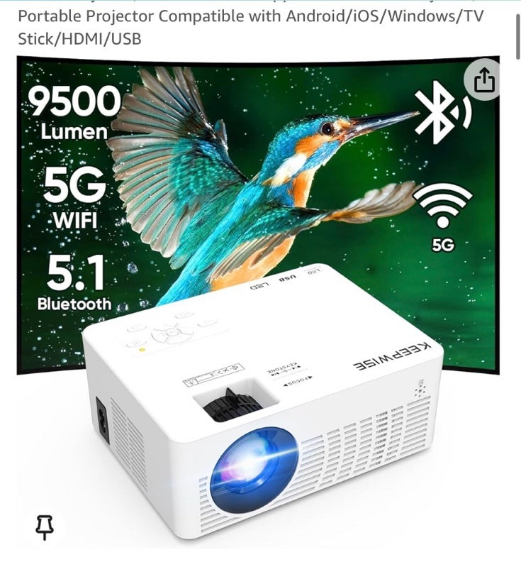 Projector