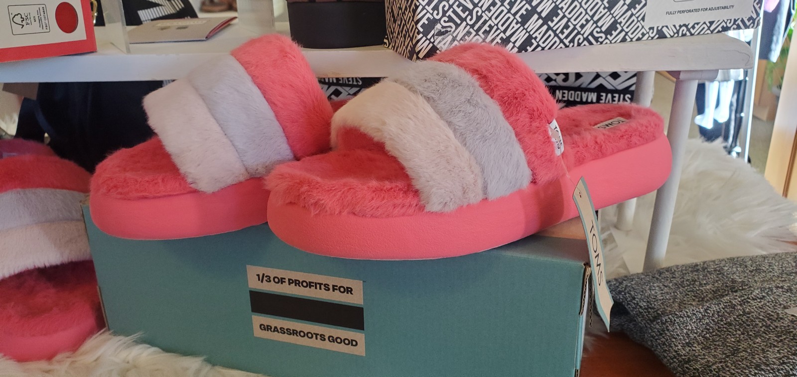TOMS slides