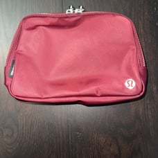 Everywhere Belt Bag in