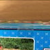 Riverside Canal Boat, Sylvanian Families