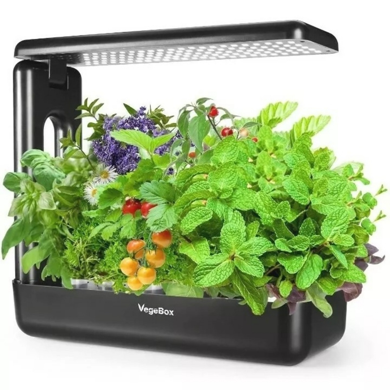 VegeBox 12 Pods Hydroponics Growing System Indoor Herb Garden Kit with Grow Ligh