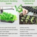 VegeBox 12 Pods Hydroponics Growing System Indoor Herb Garden Kit with Grow Ligh