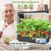 VegeBox 12 Pods Hydroponics Growing System Indoor Herb Garden Kit with Grow Ligh