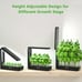 VegeBox 12 Pods Hydroponics Growing System Indoor Herb Garden Kit with Grow Ligh