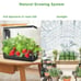 VegeBox 12 Pods Hydroponics Growing System Indoor Herb Garden Kit with Grow Ligh