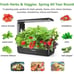 VegeBox 12 Pods Hydroponics Growing System Indoor Herb Garden Kit with Grow Ligh