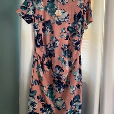 pinkblush maternity dress