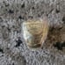 New 3pcs Super Bowl Rings Men Size 11