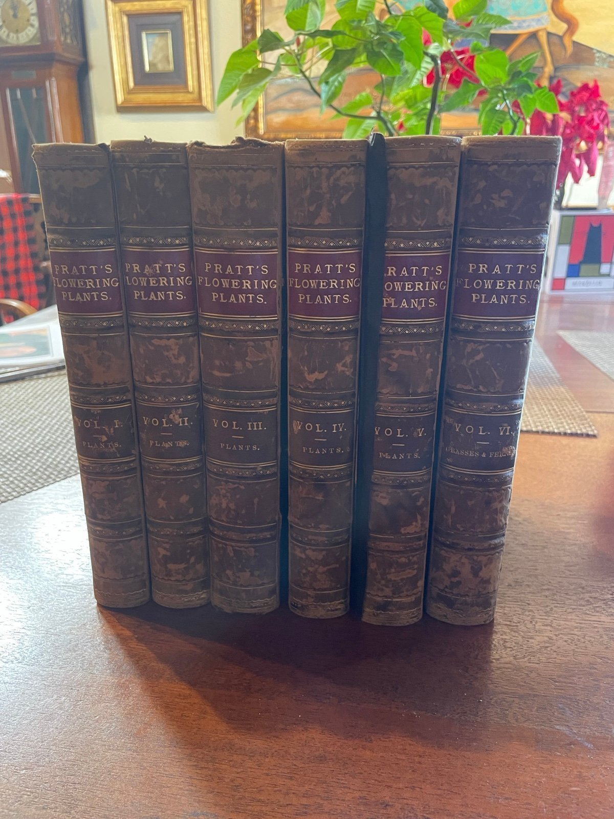 Set of 6 The Flowering Plants, Grasses, Sedges & Ferns Great Britain Ann Pratt
