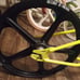 91 HARO GROUP 1-C