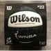Wilson Caitlin Clark WNBA Ascent Basketball Size 6 Sold Out In Hand NEW