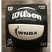 Wilson Caitlin Clark WNBA Ascent Basketball Size 6 Sold Out In Hand NEW
