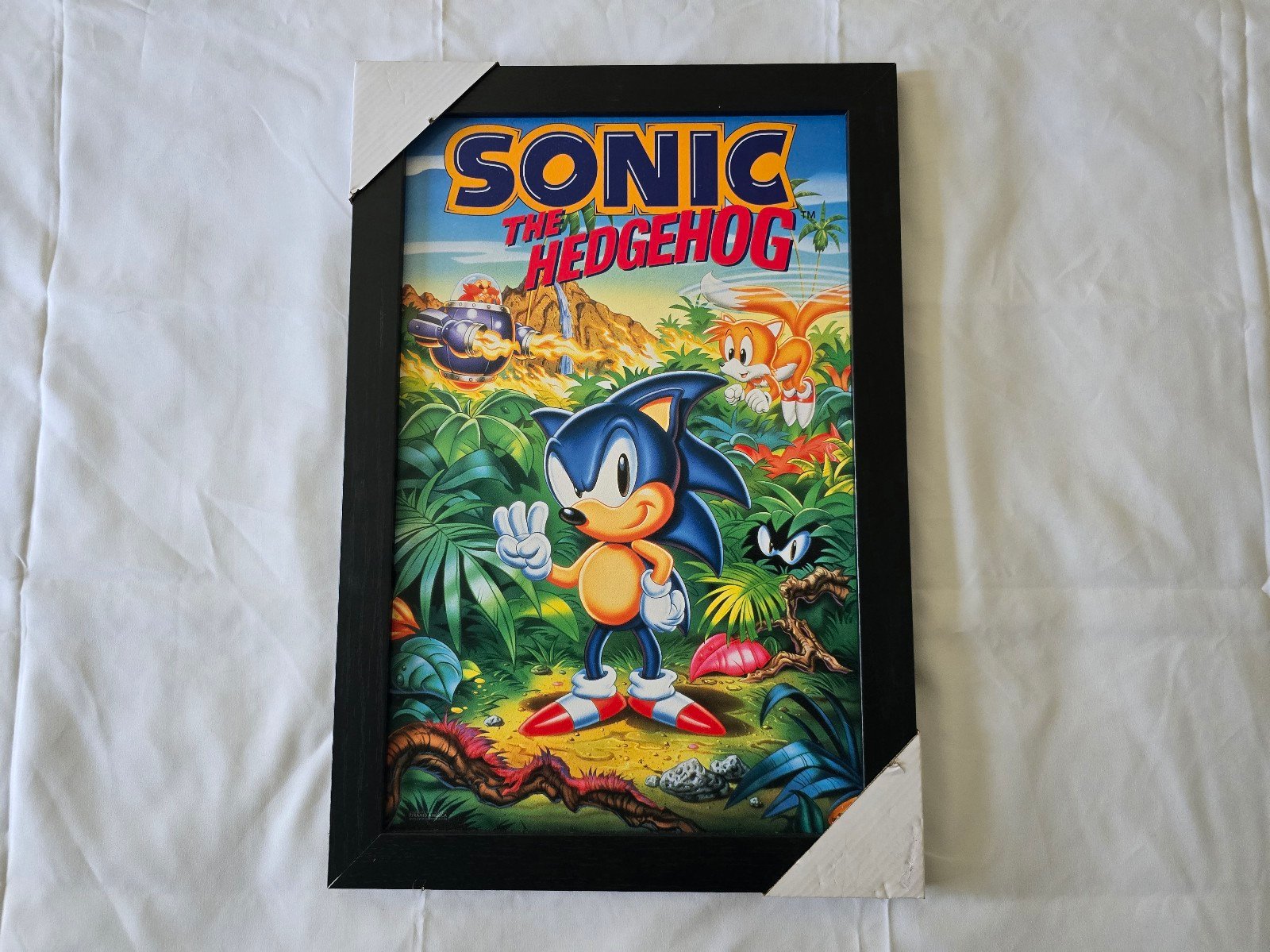 Sonic the Hedgehog 3 Sega Genesis Game Art Print