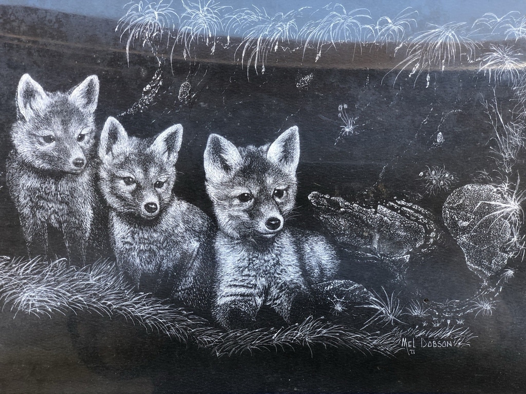1971 Signed Print Baby Foxes Fox Kits In Den Black Scratch Board Wildlife Dobson