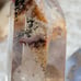 Crystal Garden tower
