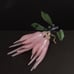 Natural Rose Quartz Pink Crystal Fruit Citron / Buddha Hands
