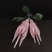 Natural Rose Quartz Pink Crystal Fruit Citron / Buddha Hands