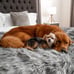 Paw.com PupProtector Original 60 x50 Charcoal Grey waterproof throw blanket NEW
