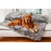 Paw.com PupProtector Original 60 x50 Charcoal Grey waterproof throw blanket NEW