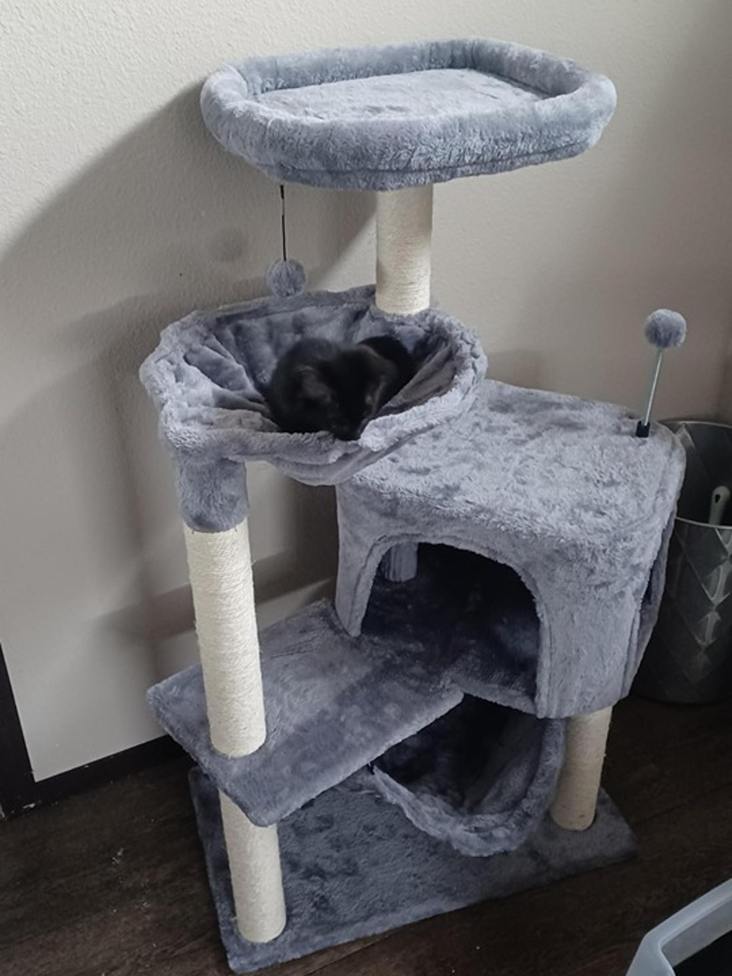 YUNIQUE Cat Tree with Cat Condo and Big Hammock, Grey