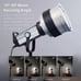 Bowens Mount F10 Fresnel Lens with Barndoors