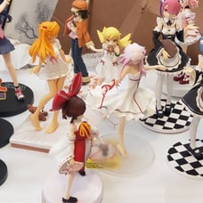 Anime Figure Collection