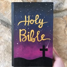 Painted NIV Bible Hardcover