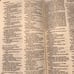 Painted NIV Bible Hardcover