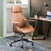 Ergonomic Office Chair (Free shipping)