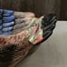 NWL Spode Duck Hand Painted Harvest Figural Collection Ceramic Dish Bowl 8.5