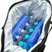 BISON 24-Can Softpak Cooler w/ Bottle Opener Texas State Seal Gunmetal Gray