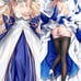 Fate/Grand Order Arcueid Brunestud Body Pillow Cover 2-Way Tricot 160 x 50cm
