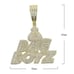 Iced Out Bag Boyz Fashion Necklace