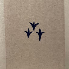 Kogei Seika 13-go, Shinchosha, with outer box.