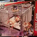 Mattel WWE 2013 Steel Cage Accessory Fits most Rings