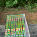 Legend of Zelda manga box set 8/10 (missing 2 books)
