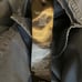 MR & MRS ITALY Full-length Vest jacket Small