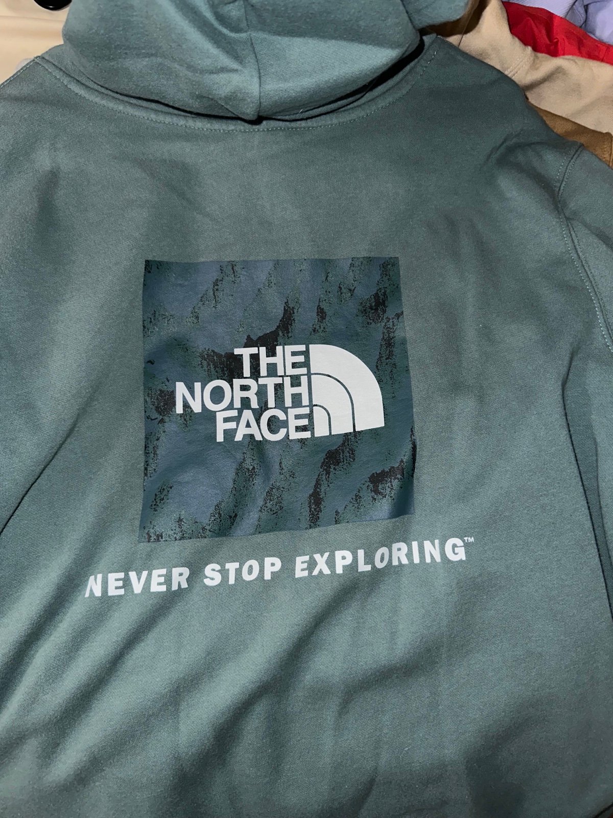 The North Face Hoodie