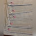 Vtg Lauren Ralph Lauren Khaki placemats & napkins w/flag logo