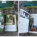 Disney Books