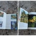 Disney Books