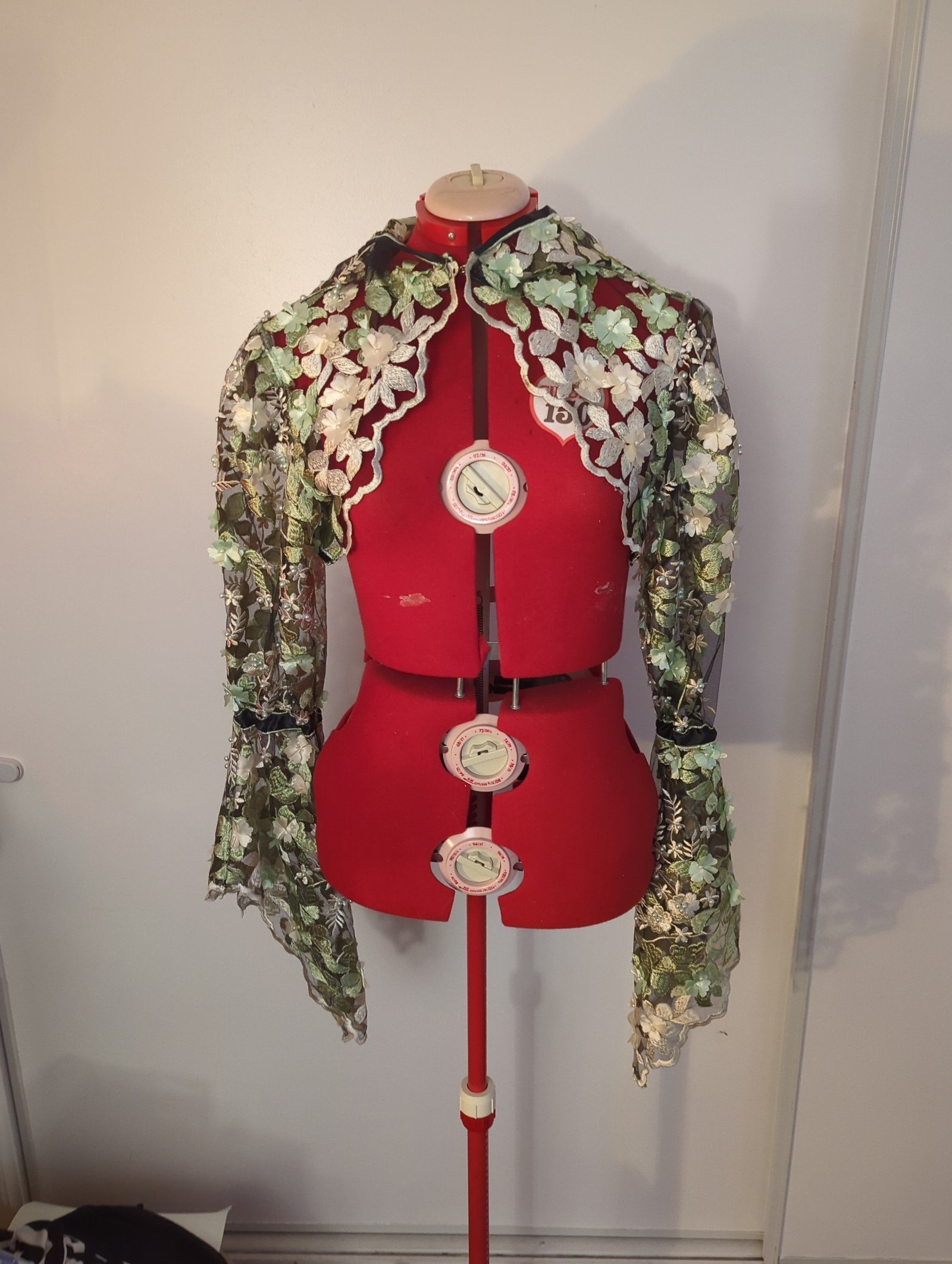 Custom made Renaissance ladies