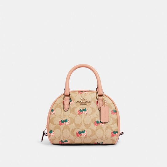 NWT Coach Sydney Satchel In Signature Canvas With Strawberry Print