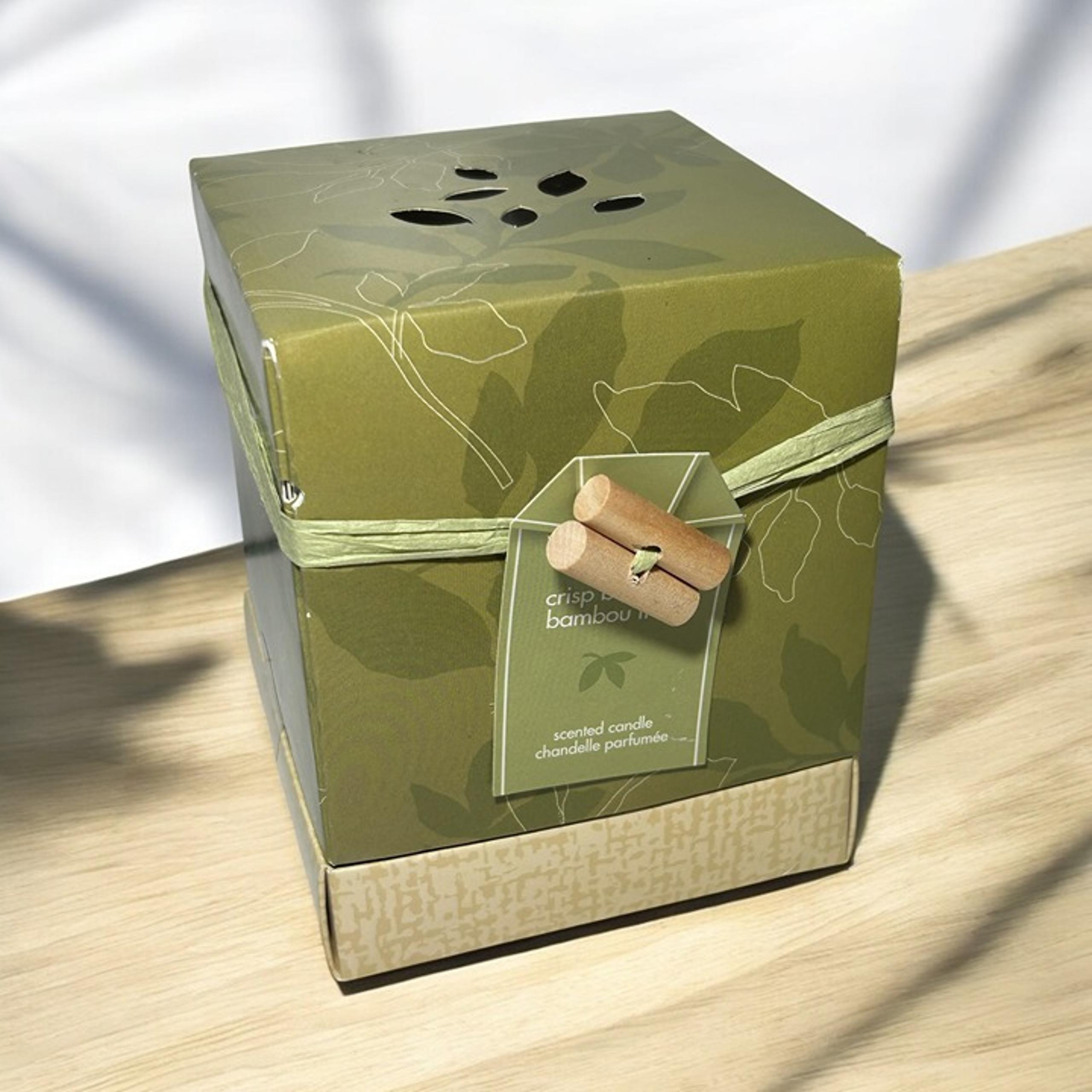 Pier 1 Imports Crisp Bamboo Scented Candle 7.65 Oz Candle Sealed New