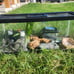 reptile enclosure