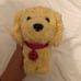 American Girl Dogs