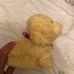 American Girl Dogs